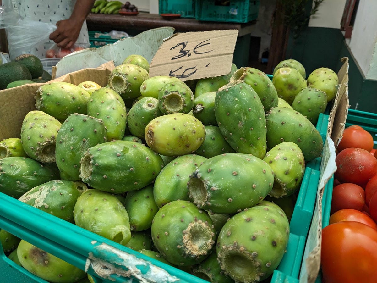 葡萄牙馬德拉週日市集與海邊健行PR8