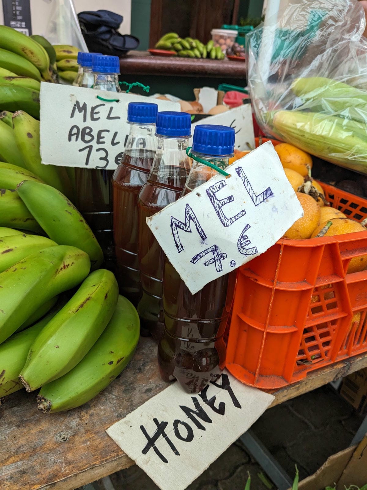 葡萄牙馬德拉週日市集與海邊健行PR8