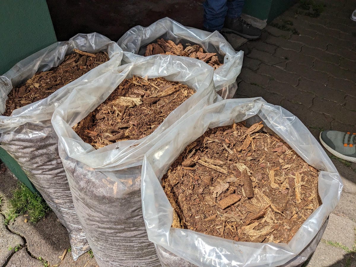 葡萄牙馬德拉週日市集與海邊健行PR8