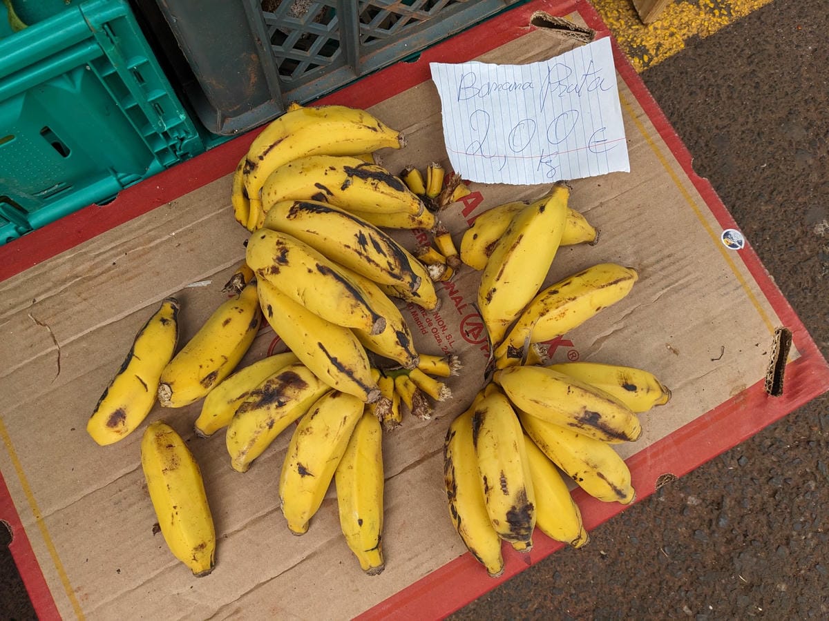 葡萄牙馬德拉週日市集與海邊健行PR8