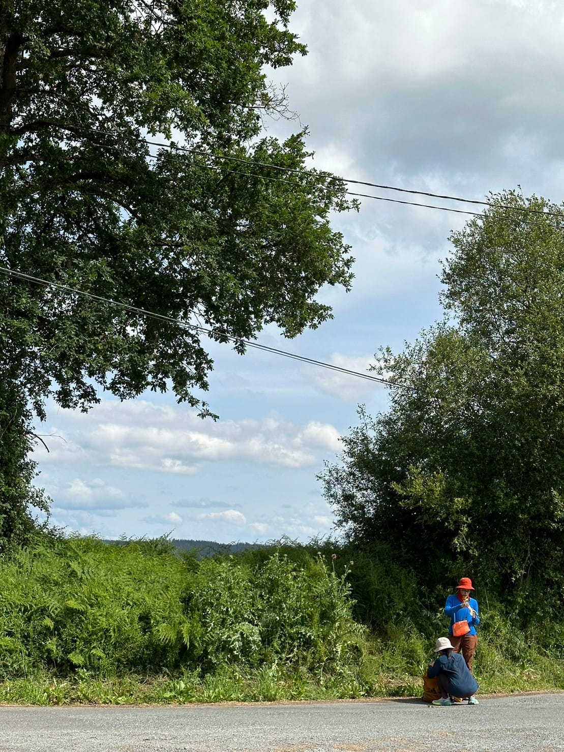 西班牙朝聖之路