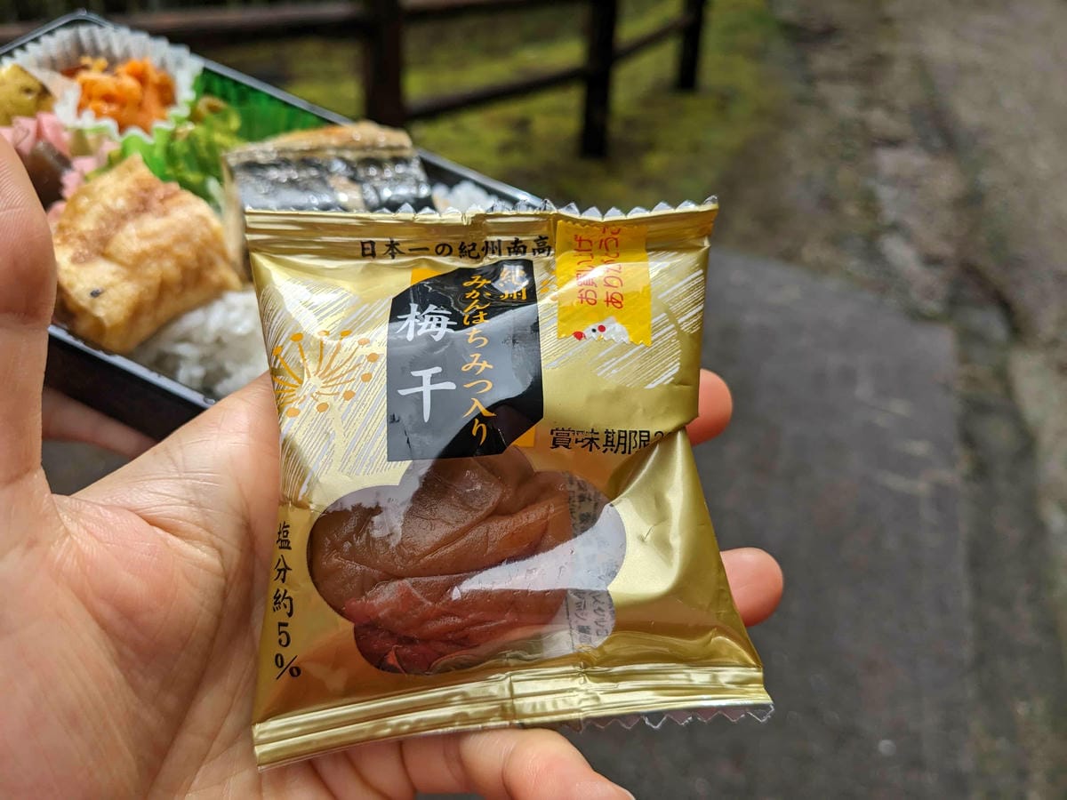 熊野古道中邊路D2 近露直奔發心門王子