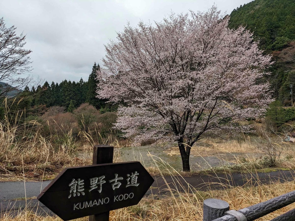 熊野古道中邊路D2 近露直奔發心門王子