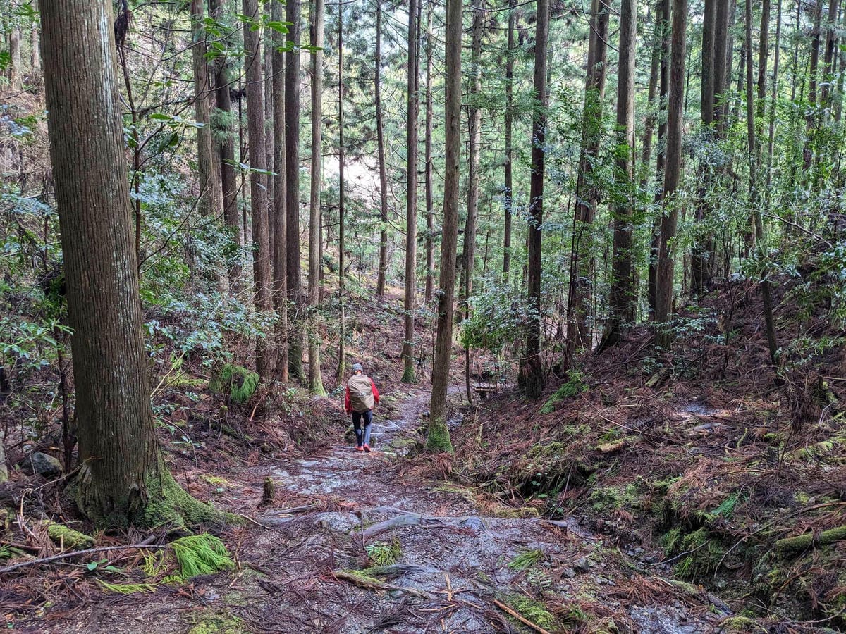 熊野古道中邊路D2 近露直奔發心門王子