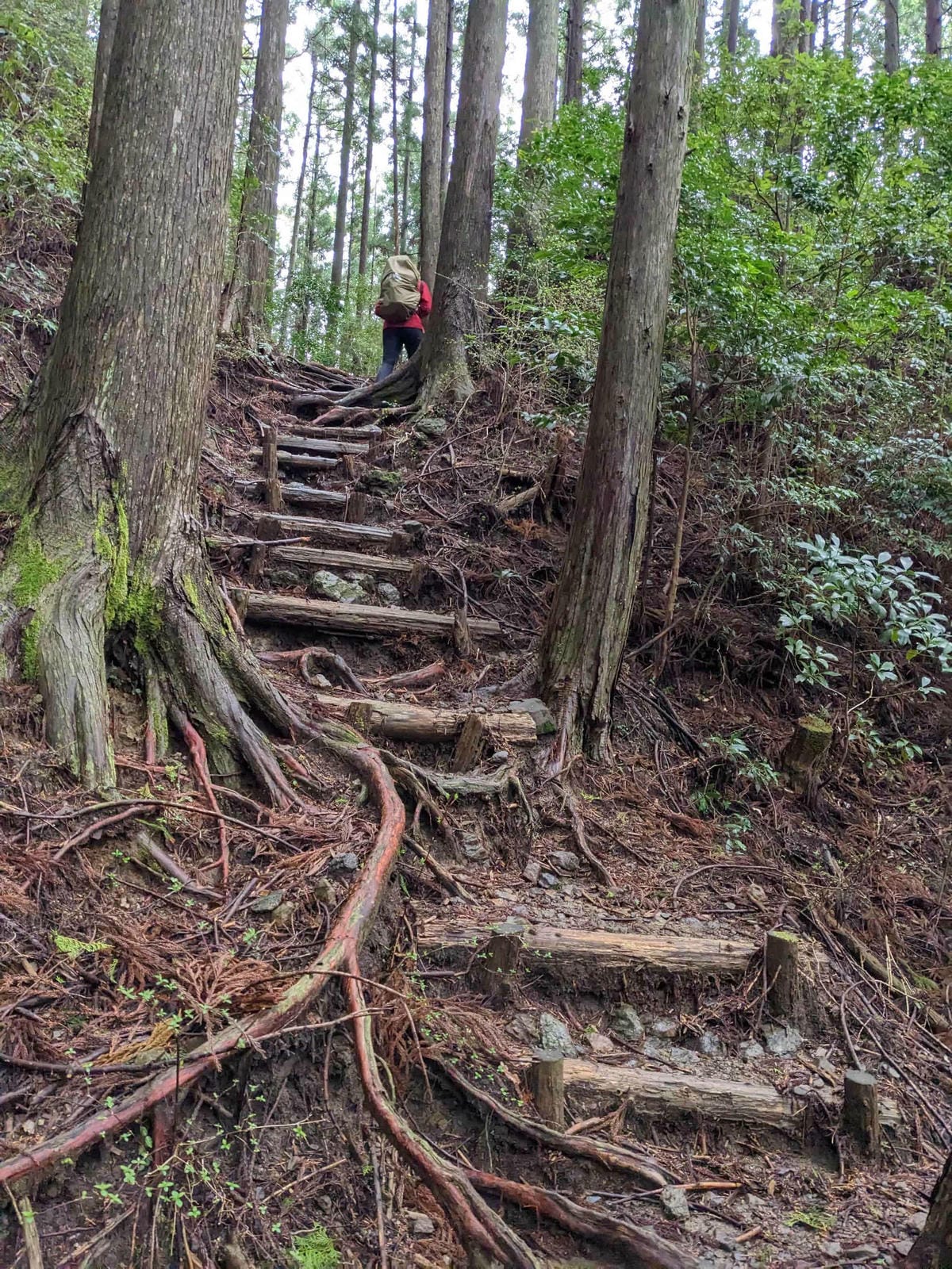 熊野古道中邊路D2 近露直奔發心門王子