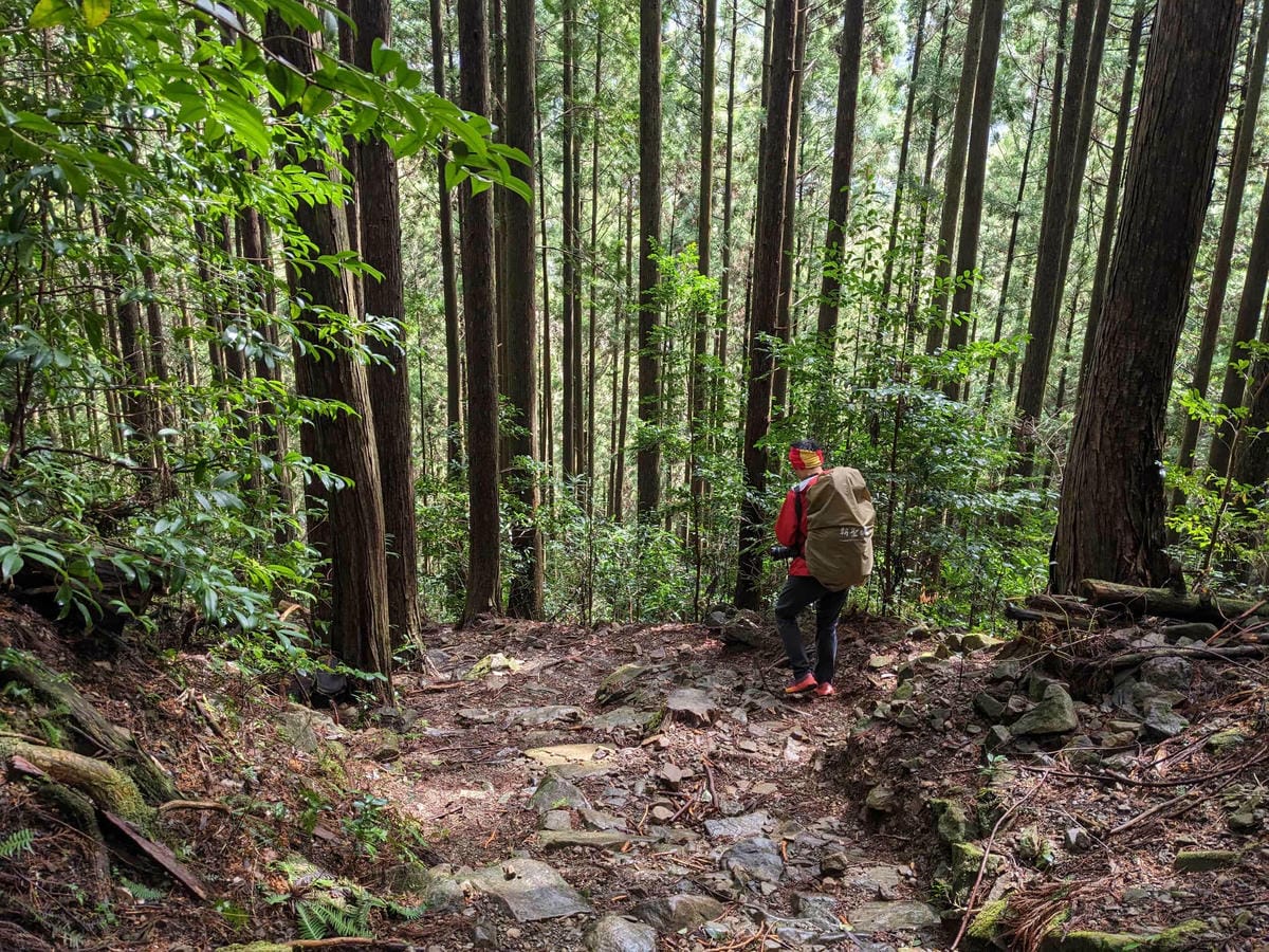 熊野古道中邊路D2 近露直奔發心門王子