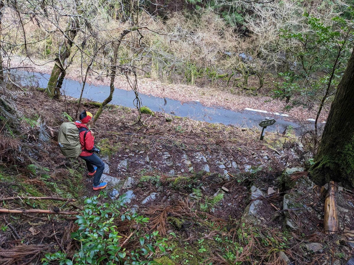 熊野古道中邊路D2 近露直奔發心門王子