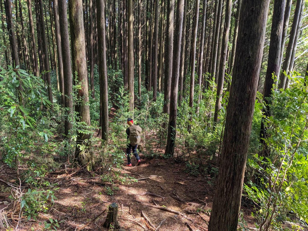 熊野古道中邊路D2 近露直奔發心門王子