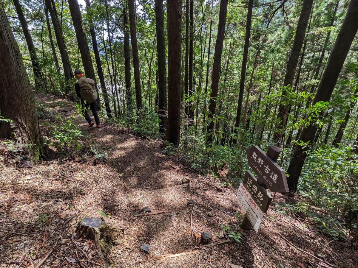 熊野古道中邊路D2 近露直奔發心門王子 - 第17張圖 熊野古道中邊路D2 近露直奔發心門王子