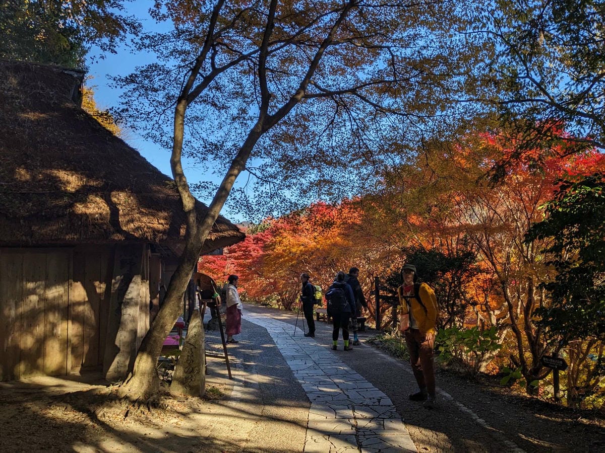 熊野古道中邊路到近露D1 有神居住的地方