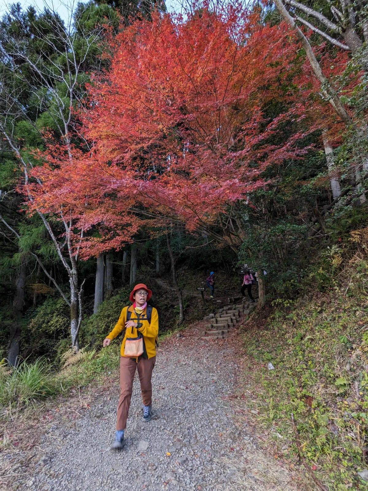 熊野古道中邊路到近露D1 有神居住的地方
