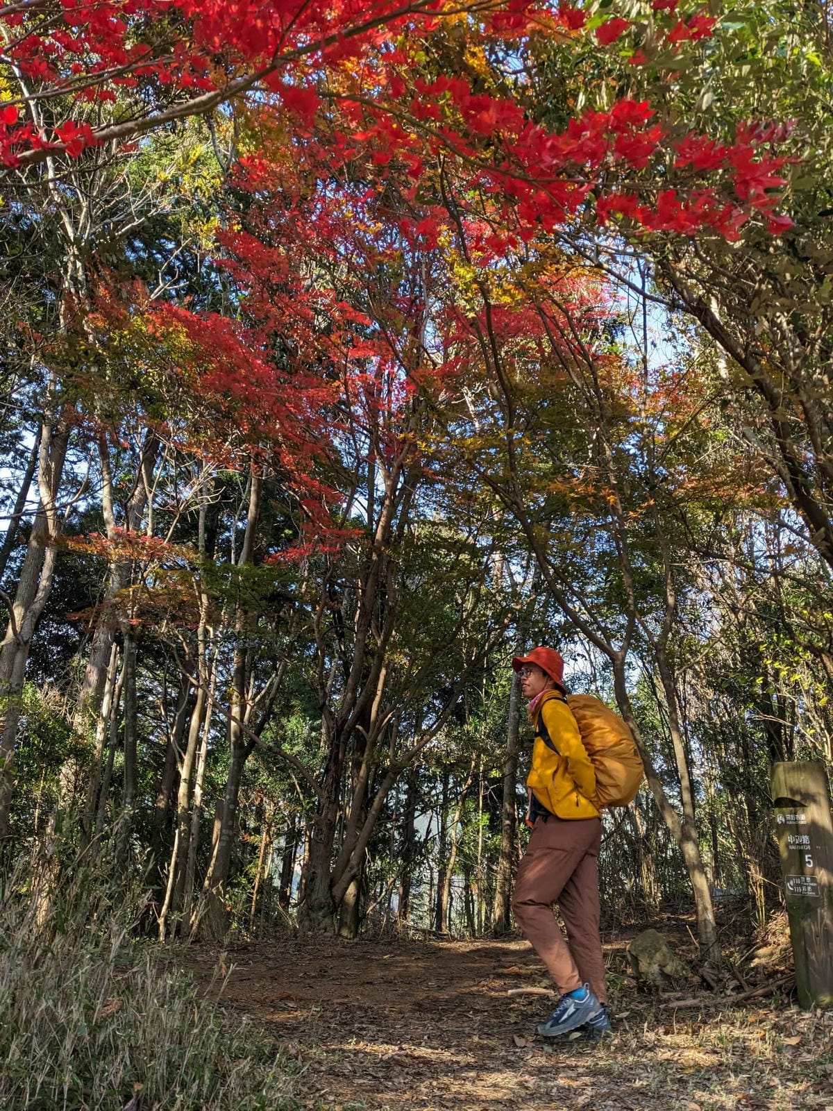 熊野古道中邊路到近露D1 有神居住的地方