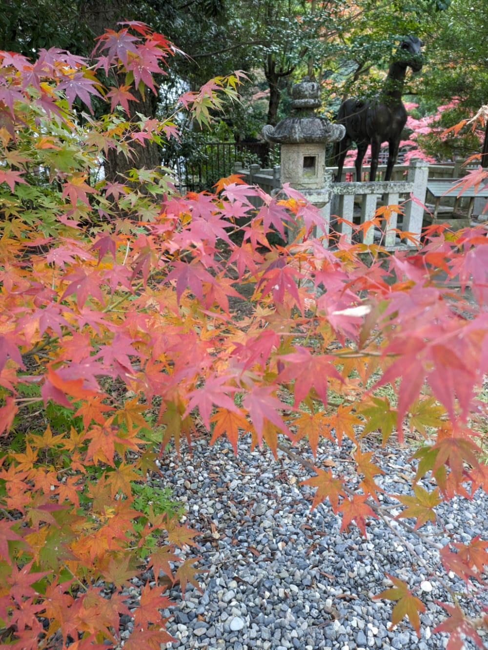 紀伊田邊熊野古道起點小川屋旅館