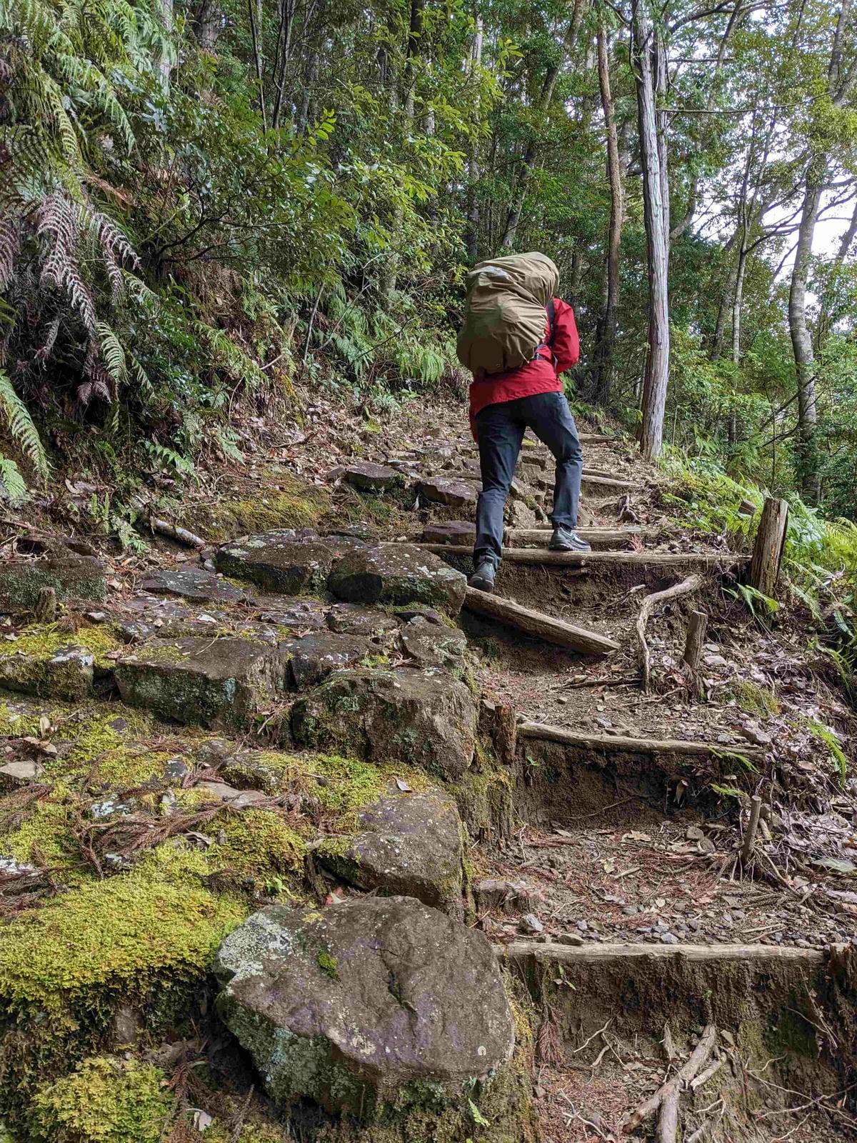 熊野古道小邊路D4 動動靈魂腦袋