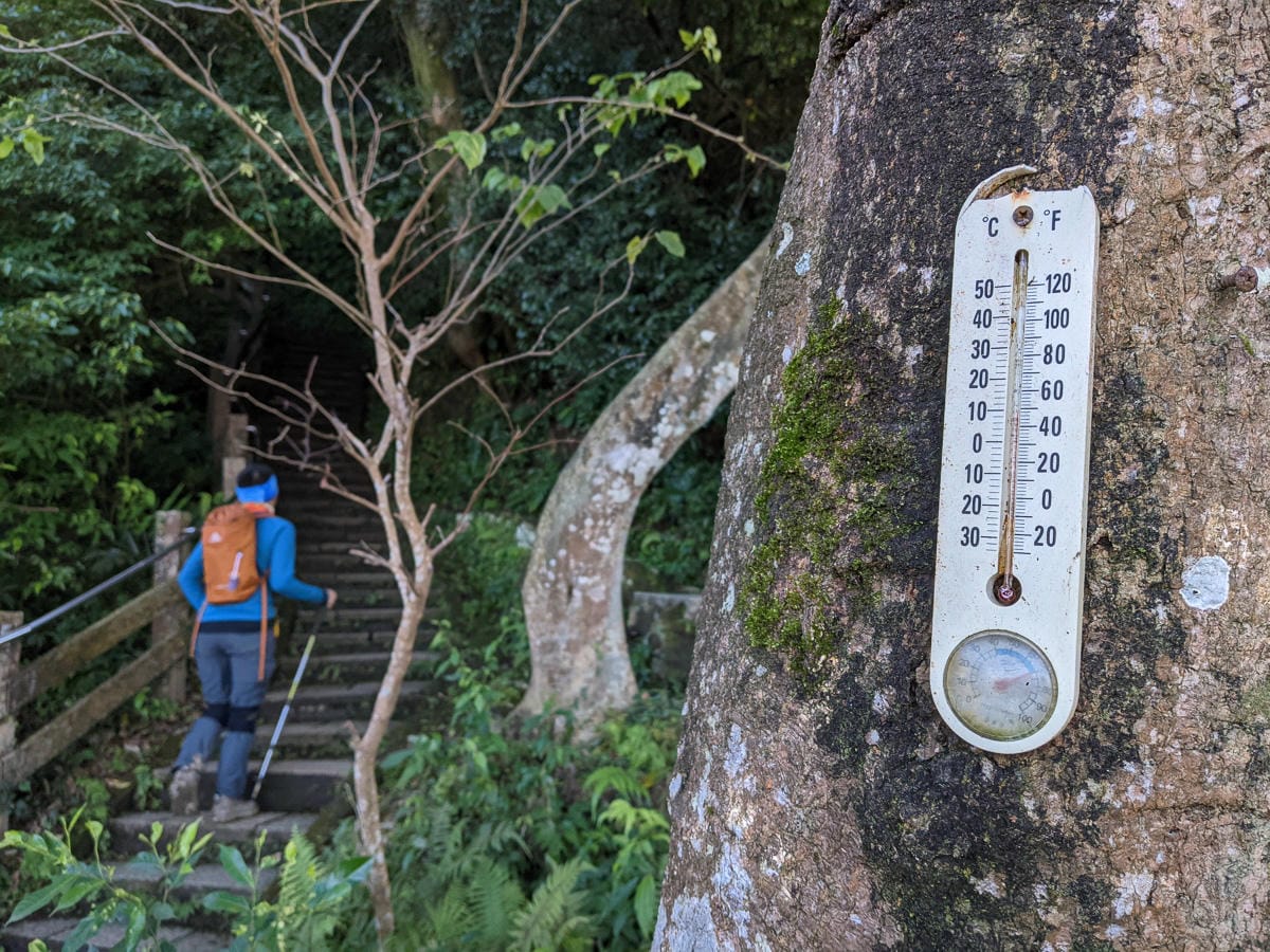 爬山水腫怎麼辦 登山健行運動喝水策略跟你想的不一樣 - 第7張圖 爬山水腫怎麼辦 登山健行運動喝水策略跟你想的不一樣