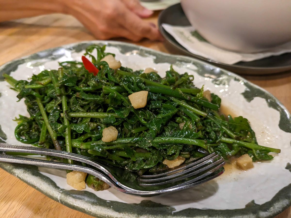 清邁長輩耍廢遊。十萬個為什麼