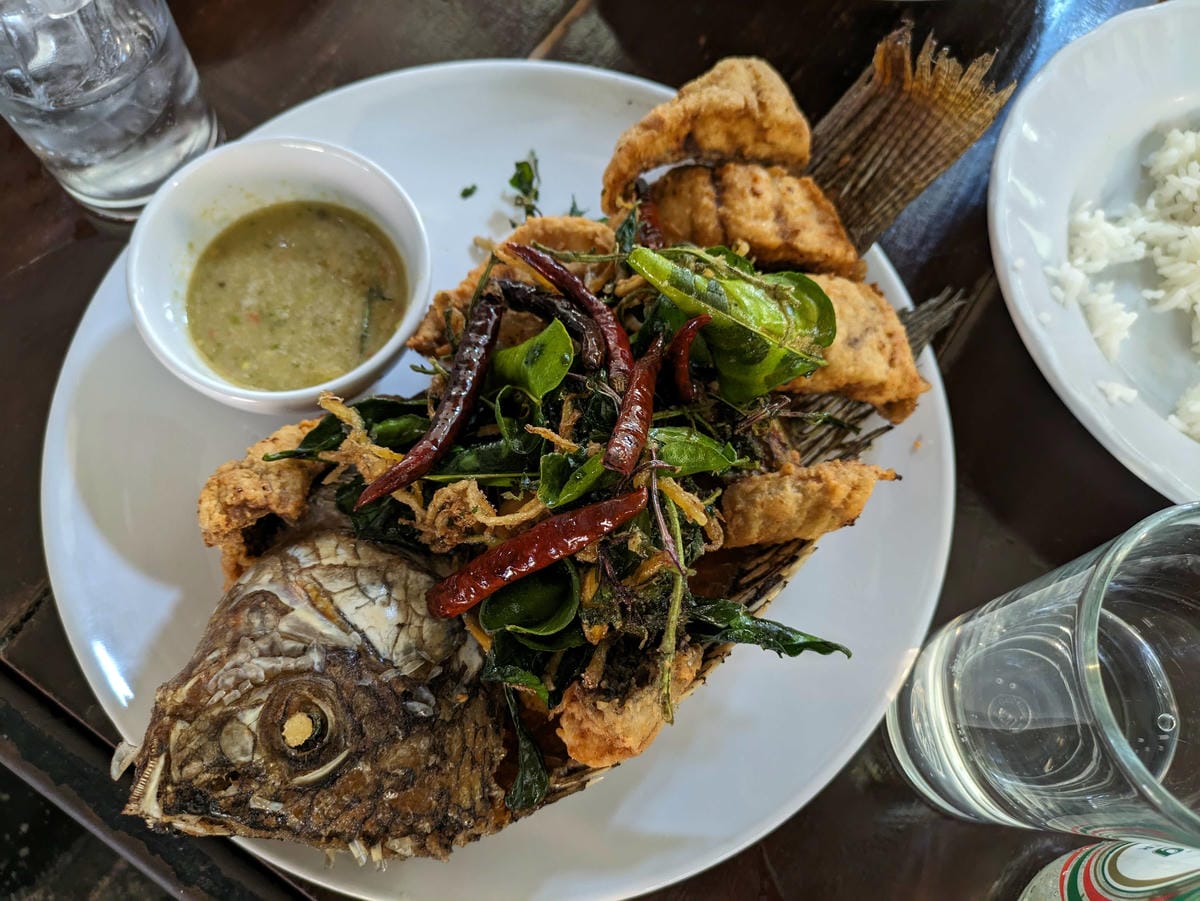 清邁長輩耍廢遊。清邁美食天下