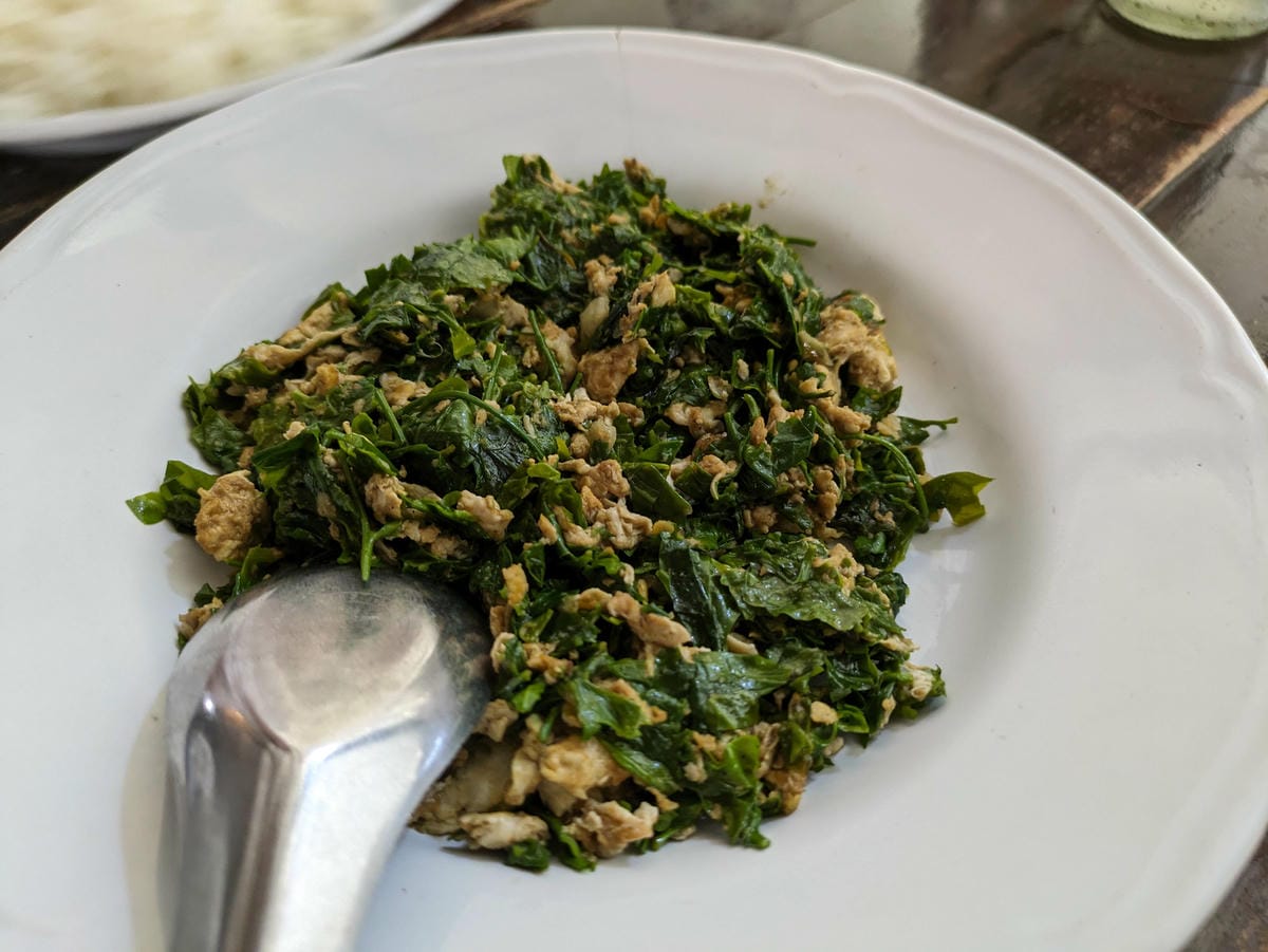 清邁長輩耍廢遊。清邁美食天下