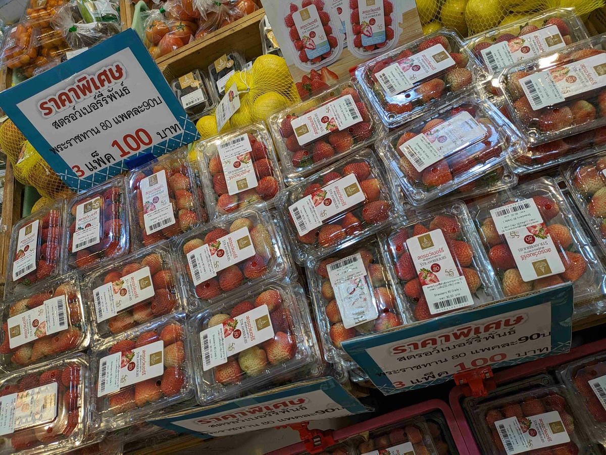 清邁長輩耍廢。提早抵達機場明智