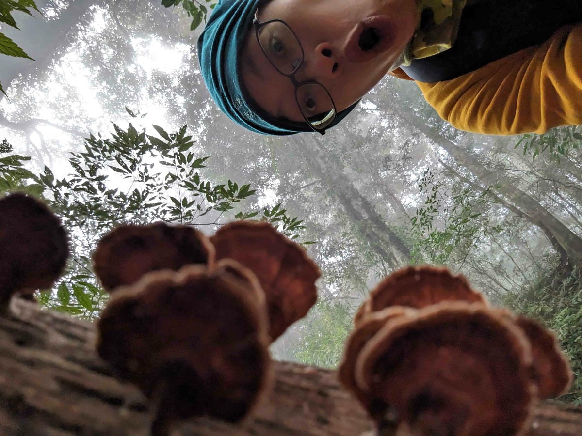 特富野古道｜阿里山水山線的塔塔加