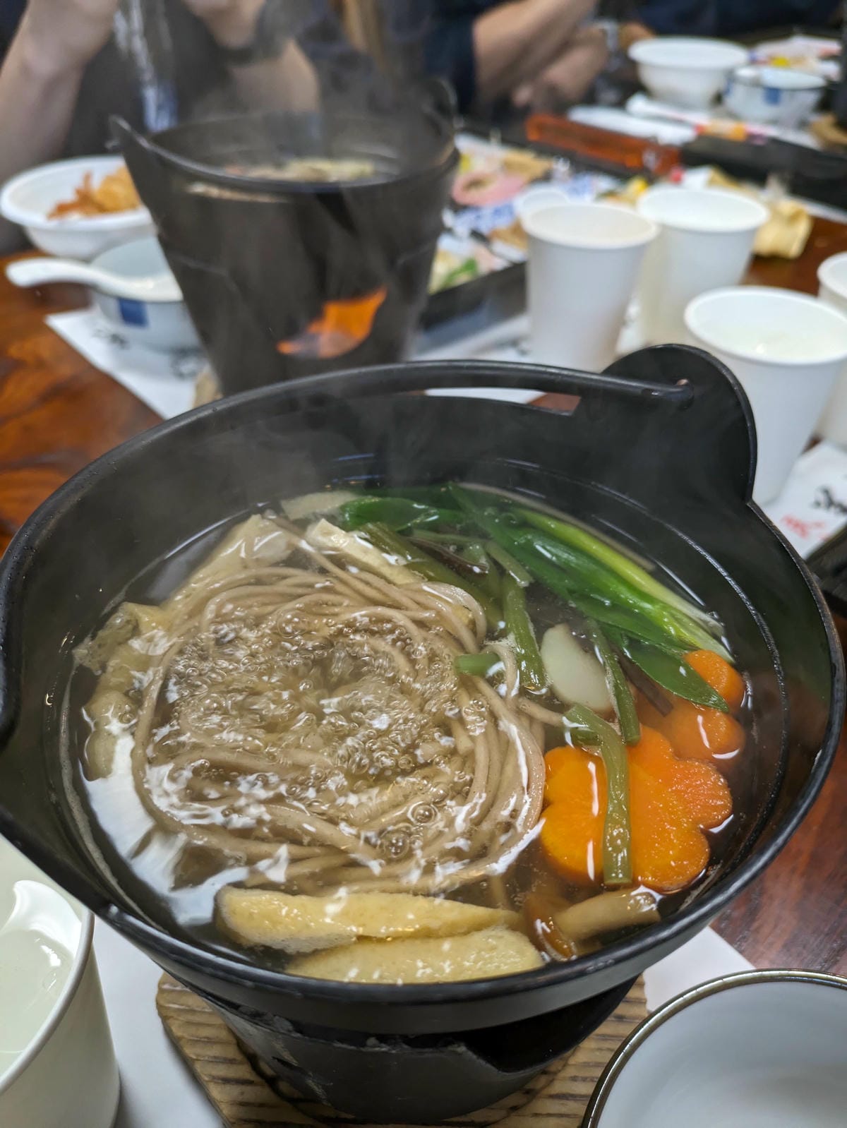 熊野古道那智大社：美瀧山莊負離子吸到飽