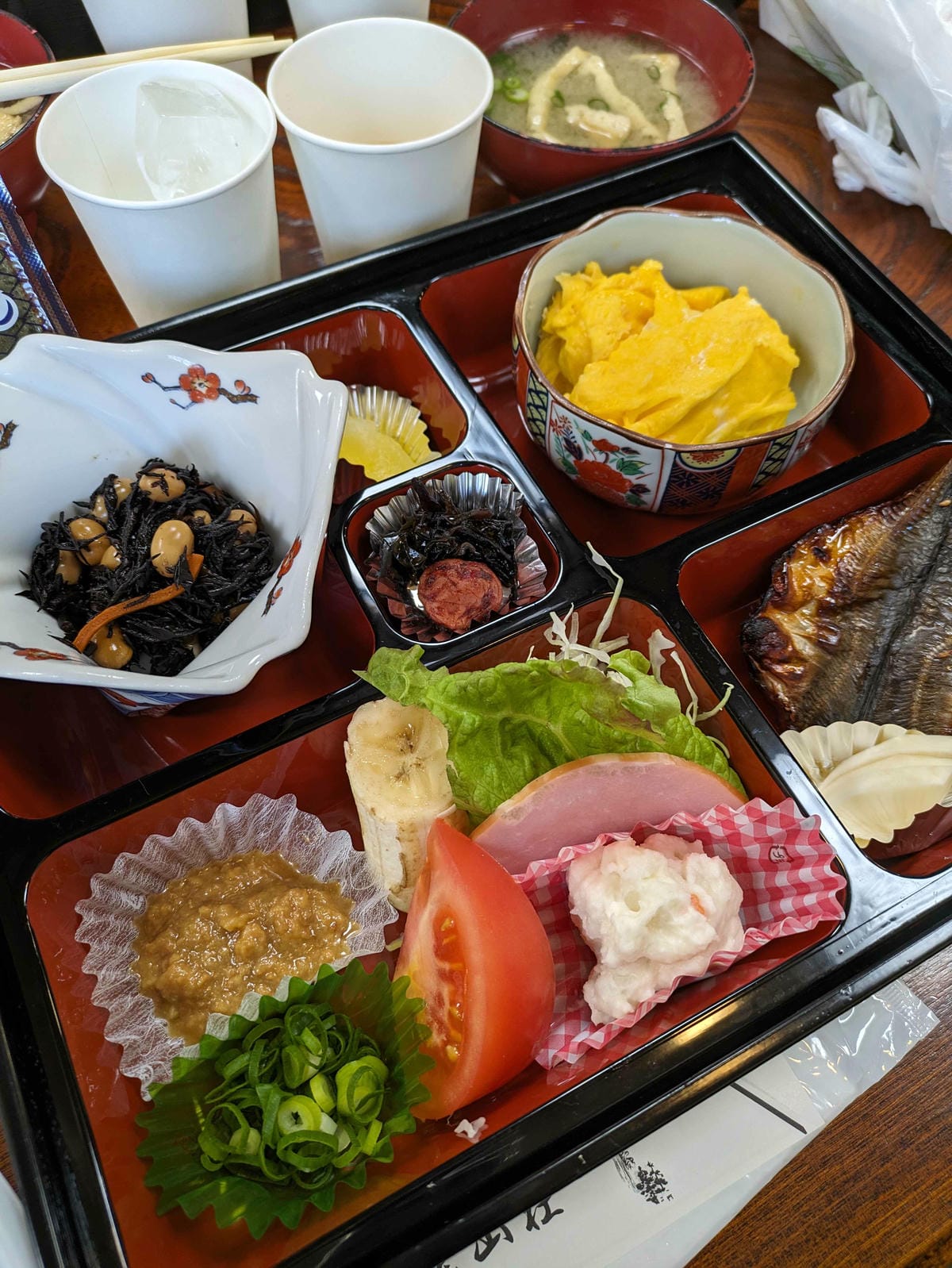 熊野古道那智大社：美瀧山莊負離子吸到飽