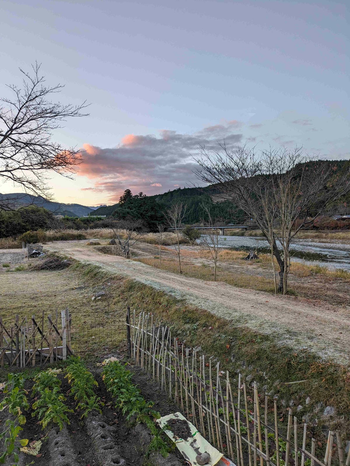 熊野近露溫泉民宿特製餐點超優秀