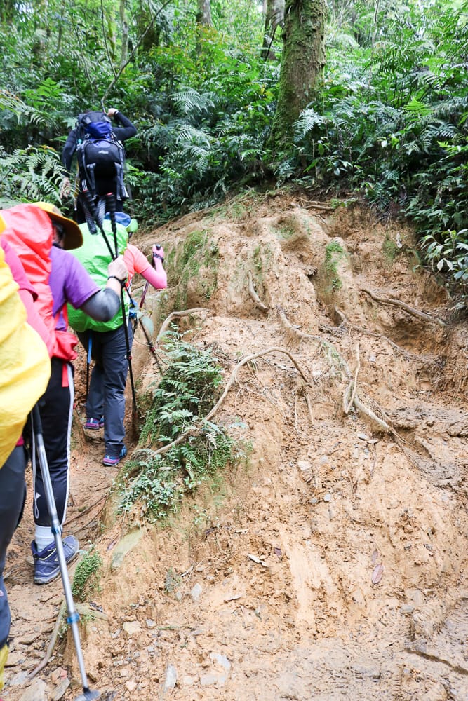 登山鞋的清潔與保養 這樣洗登山鞋補強防撥水跟新的一樣
