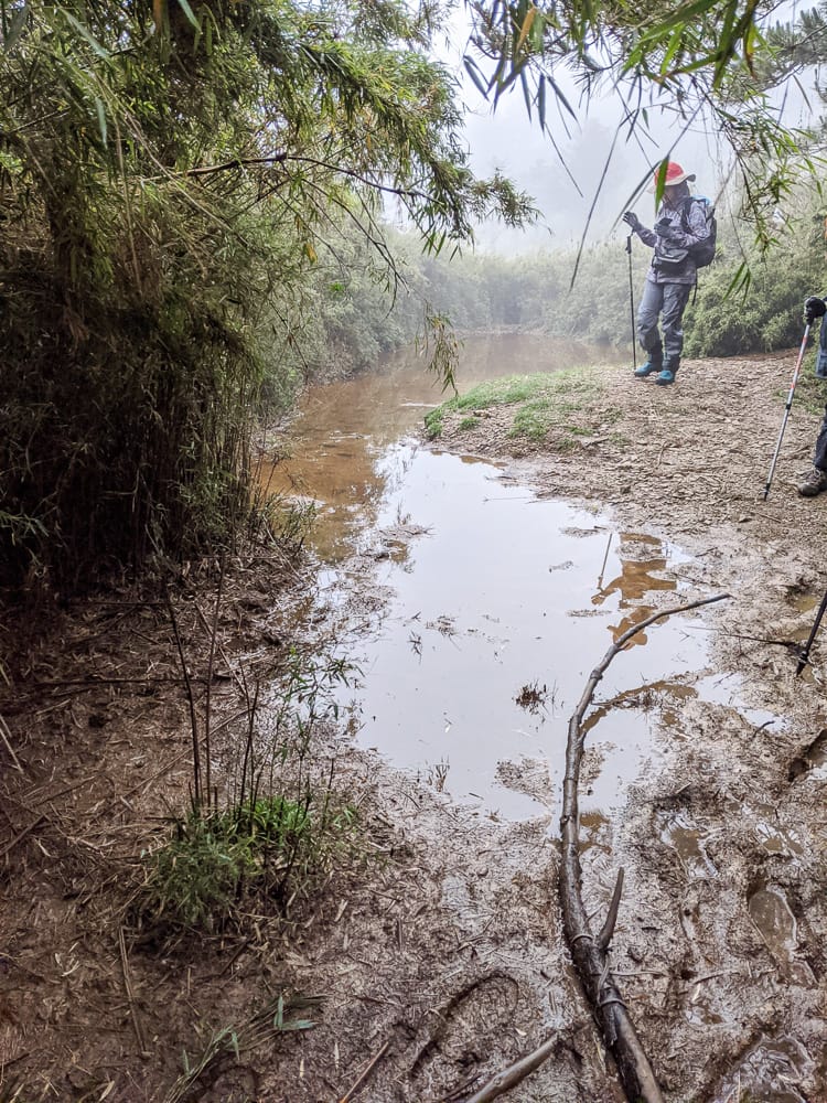 爬山穿雨鞋還是登山鞋？跟登山新手無關，跟山路跟你的腳最有關