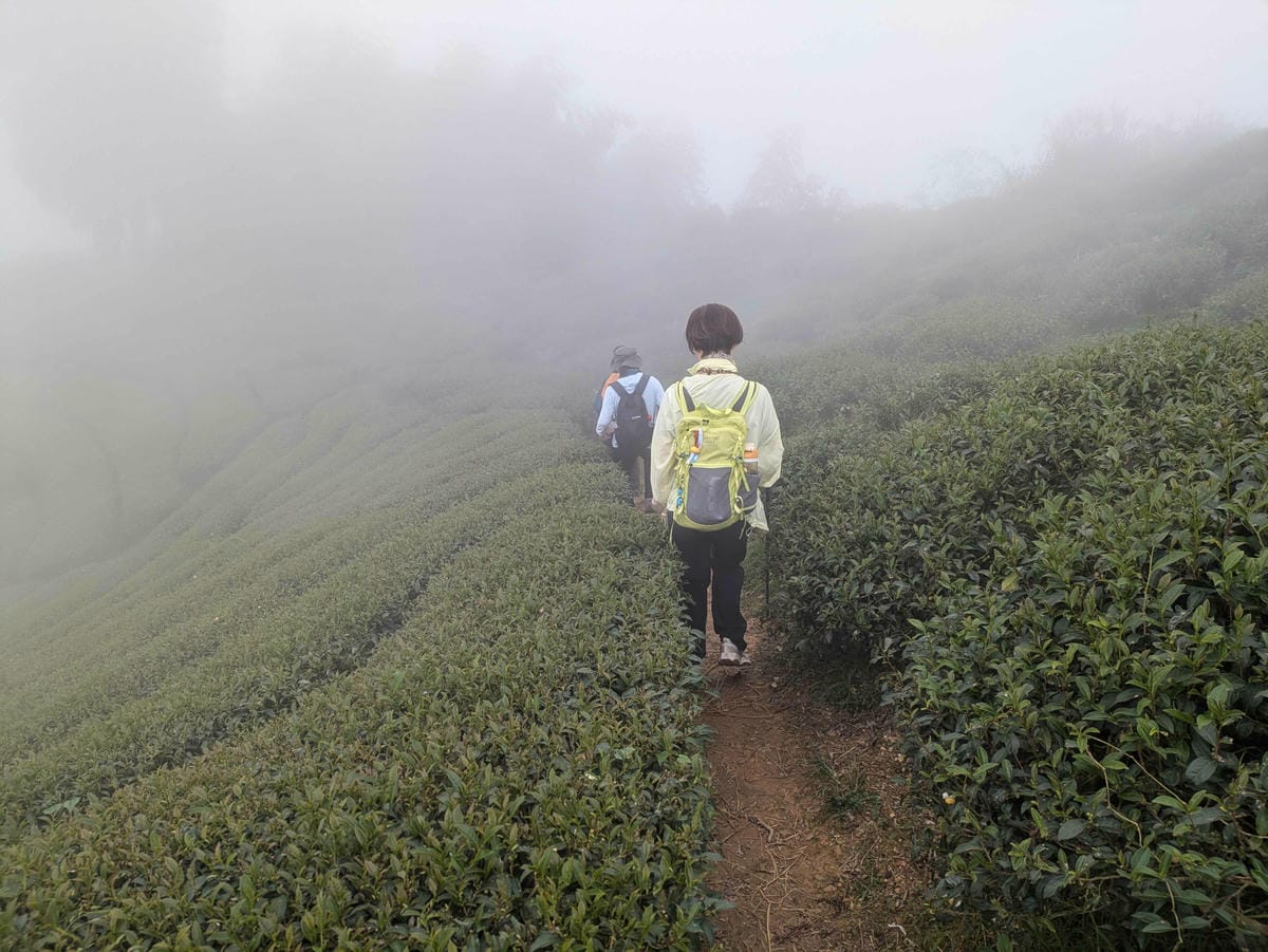 雲嘉七連峰小百岳之旅。翻山越嶺雲林到嘉義