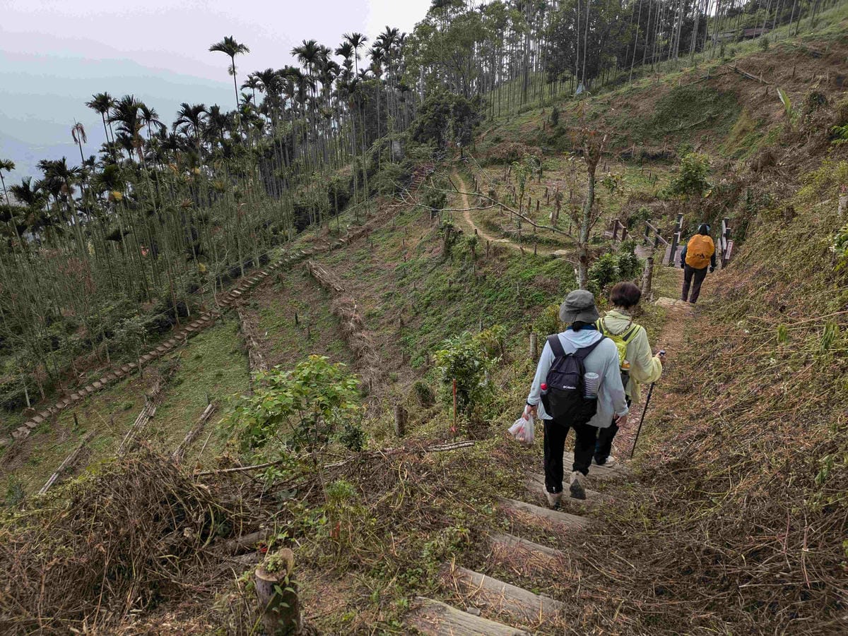 雲嘉七連峰小百岳之旅。翻山越嶺雲林到嘉義