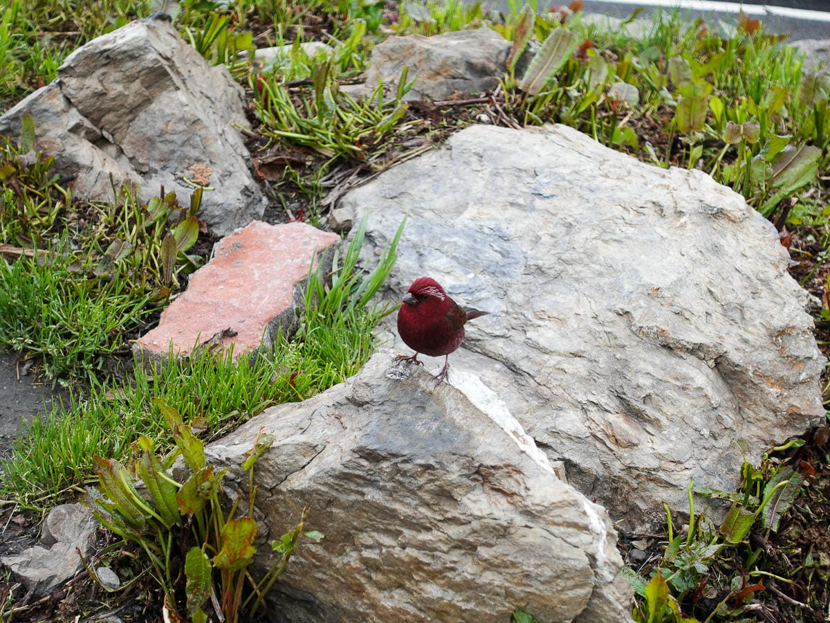 跟老蝦走!老蝦朝聖練走台灣走起來 - 第16張圖 跟老蝦走!老蝦朝聖練走台灣走起來