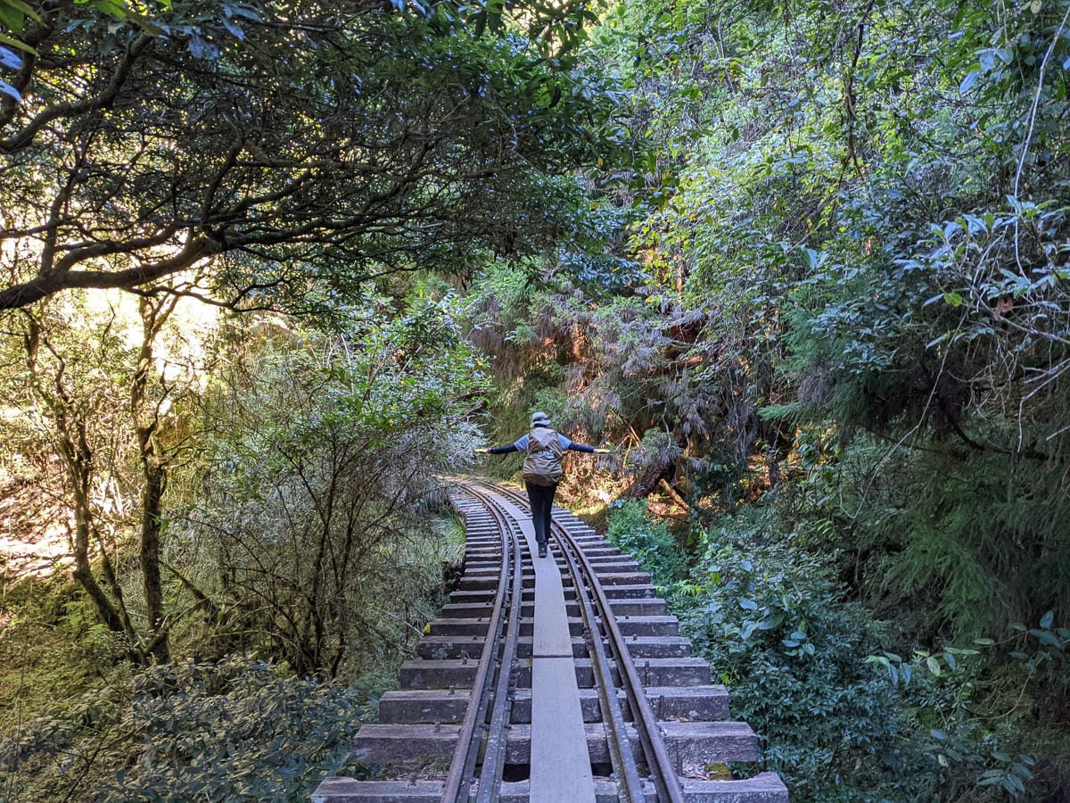 跟老蝦走!老蝦朝聖練走台灣走起來 - 第29張圖 跟老蝦走!老蝦朝聖練走台灣走起來