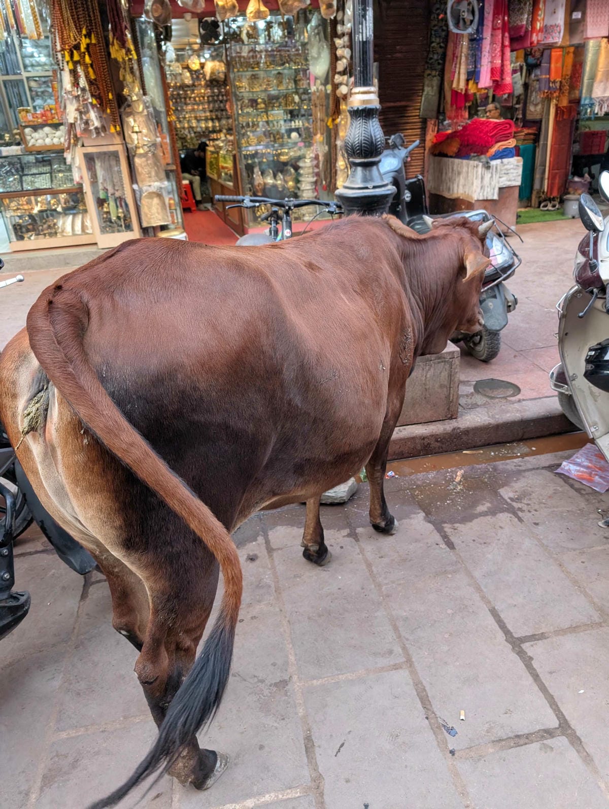 瓦拉納西｜搭船遊恆河拜訪河壇與婆羅門火祭