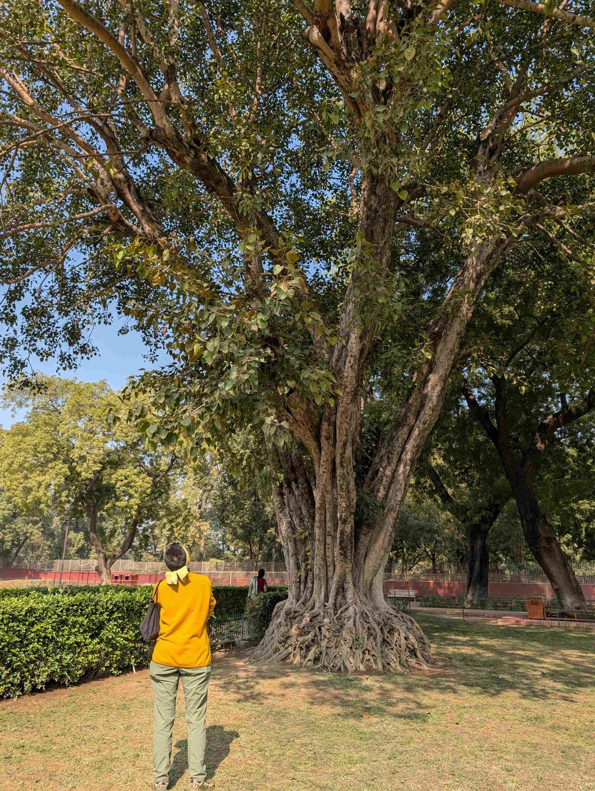 瓦拉納西｜火葬場與恆河周圍景點
