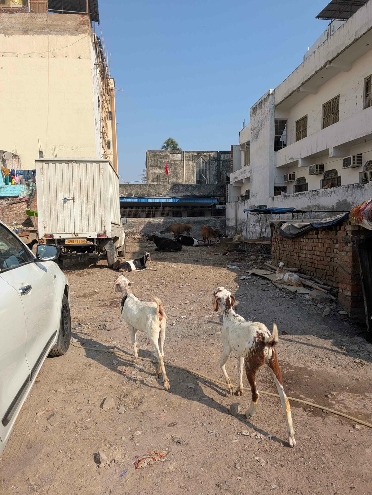 瓦拉納西花市Safari？印度機場真是一團謎