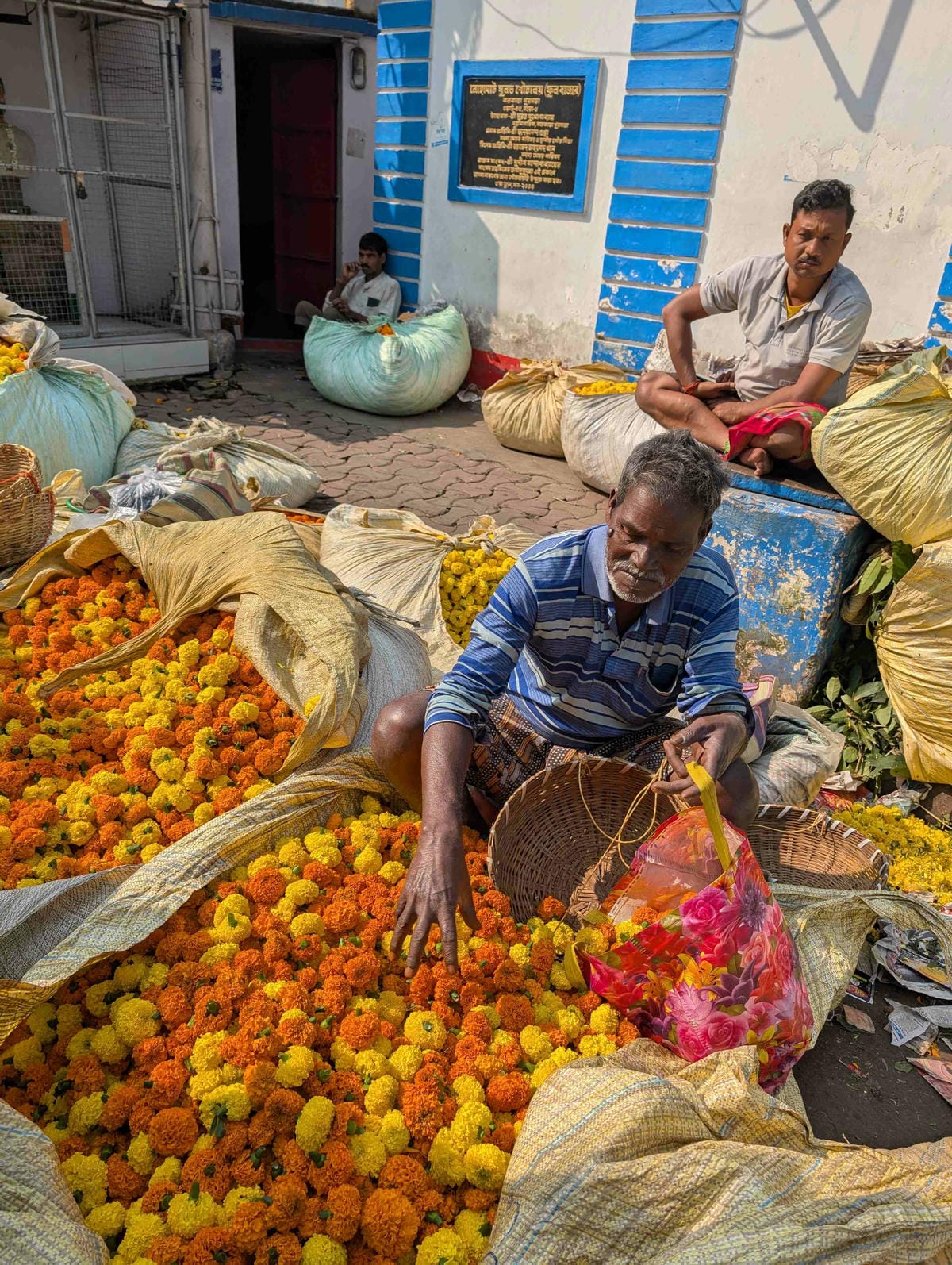 加爾各答｜穿梭於印度最大花市、泰戈爾故居、好吃香料羊