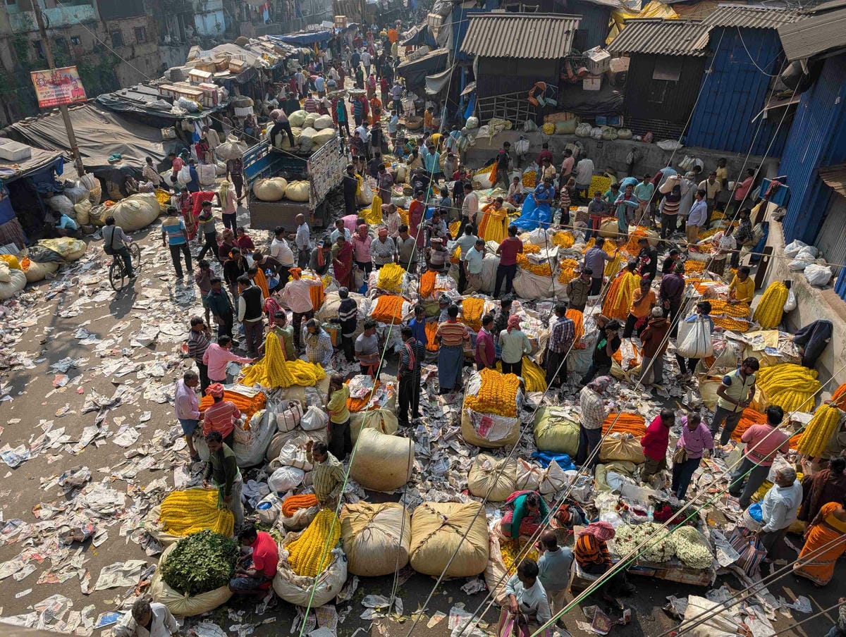 加爾各答｜穿梭於印度最大花市、泰戈爾故居、好吃香料羊