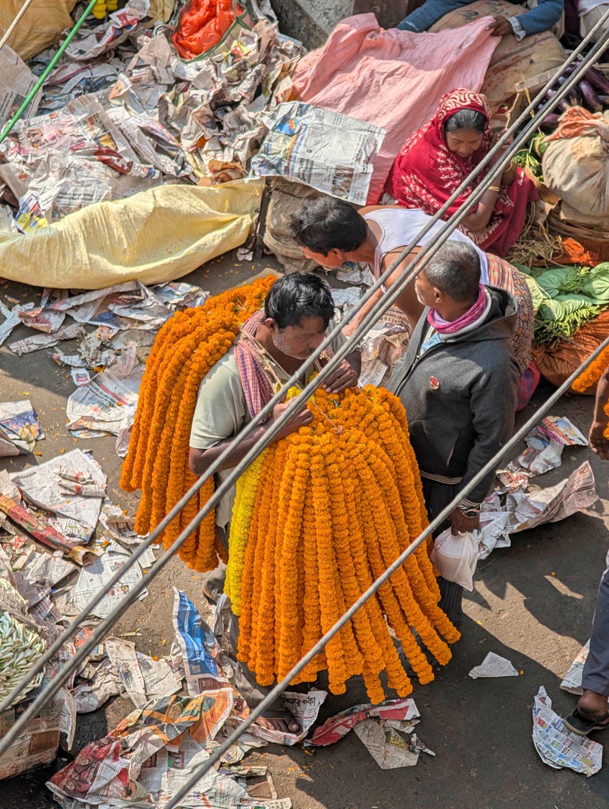 加爾各答｜穿梭於印度最大花市、泰戈爾故居、好吃香料羊