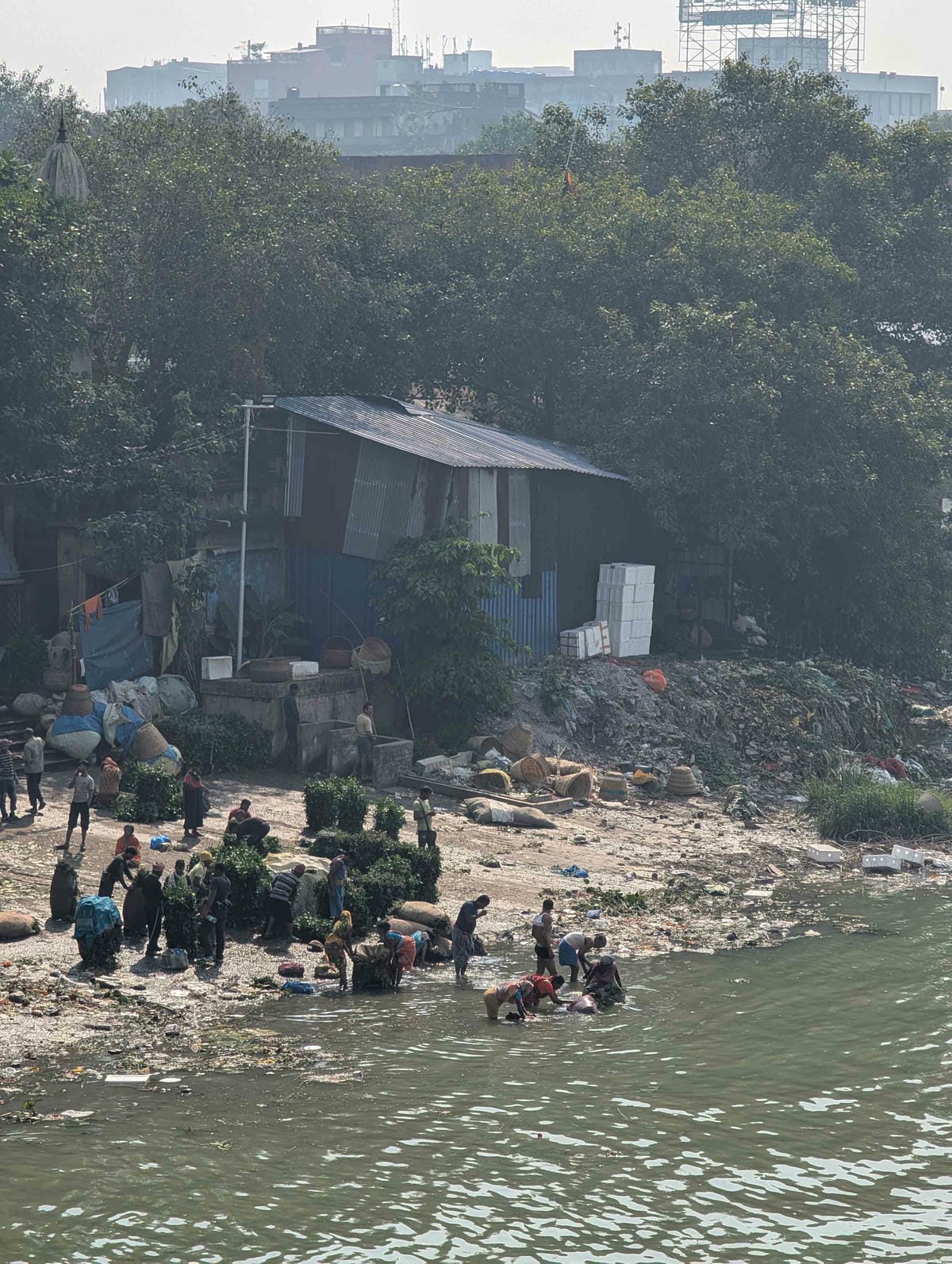 加爾各答｜穿梭於印度最大花市、泰戈爾故居、好吃香料羊