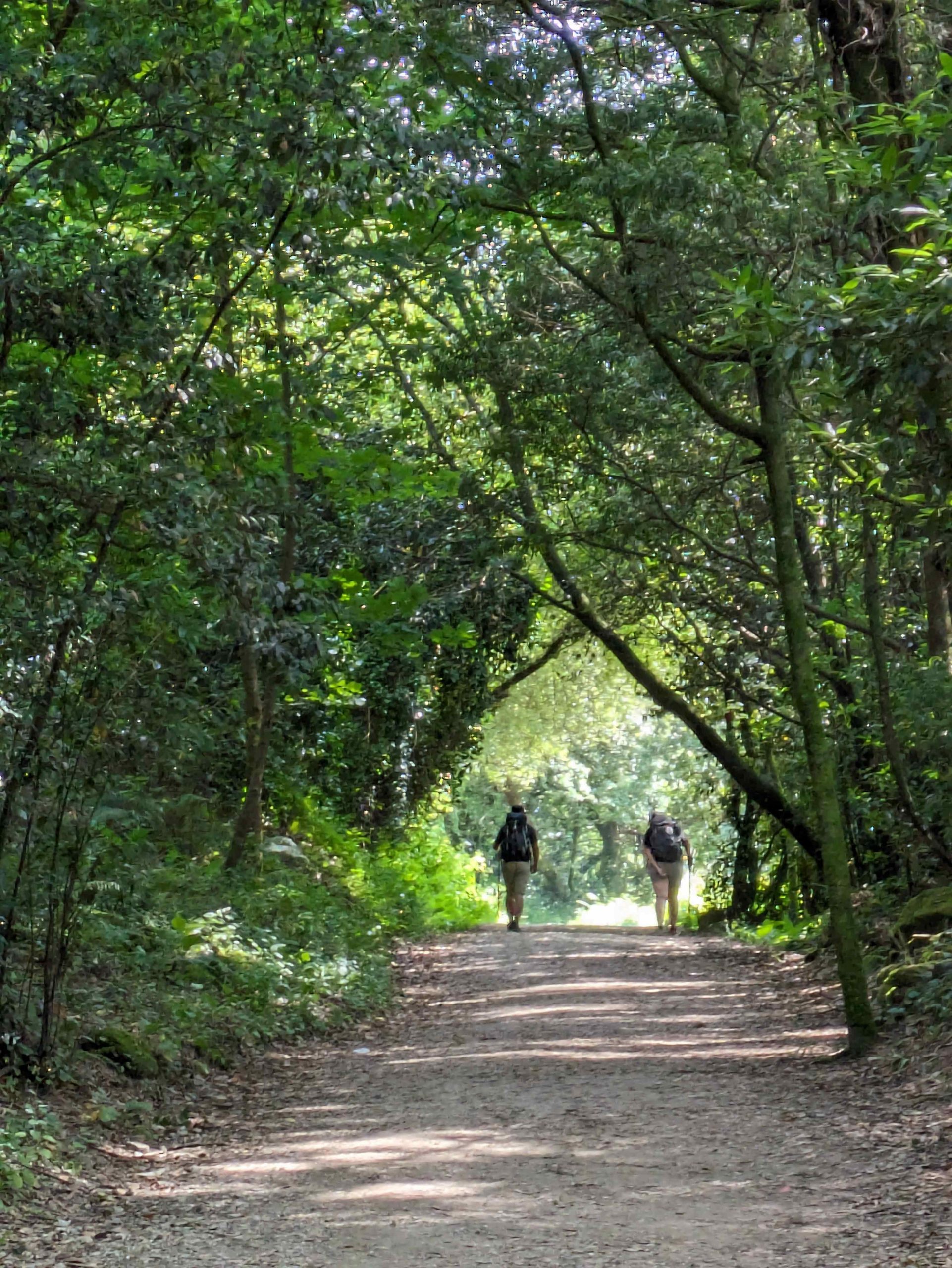 Camino 朝聖之路西班牙團