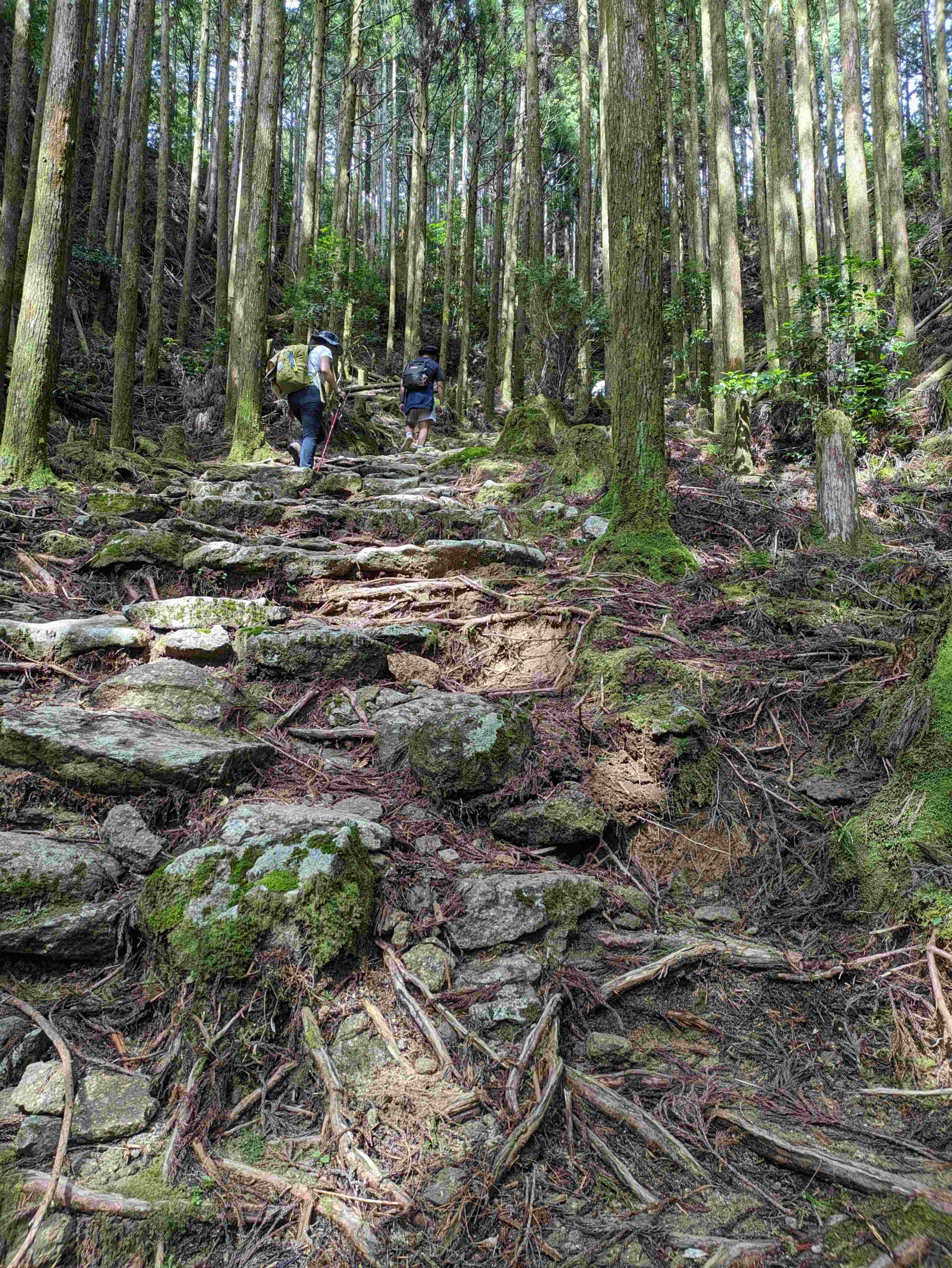 熊野古道中邊路 請川 – 小雲取越 – 小口