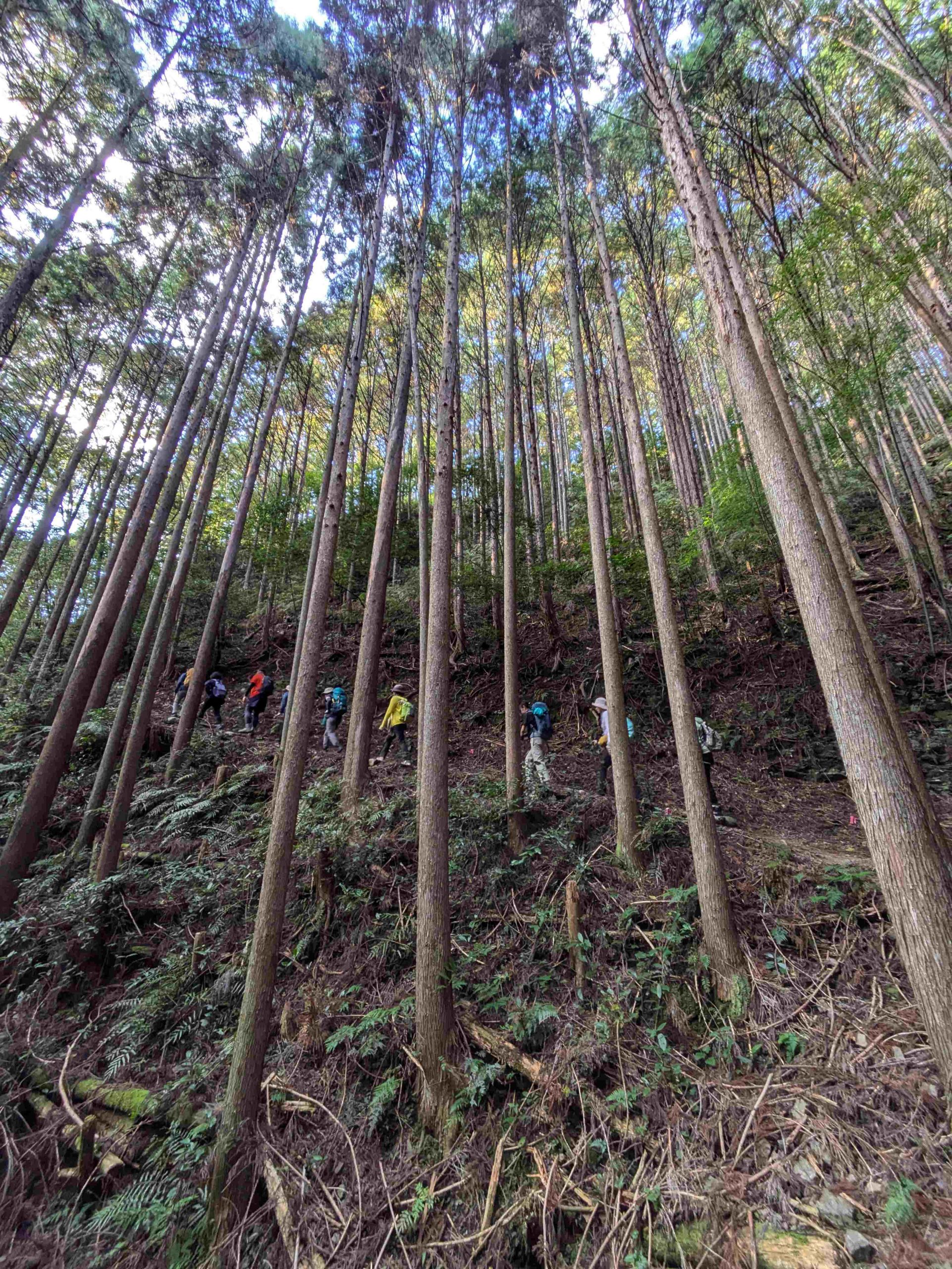 熊野古道