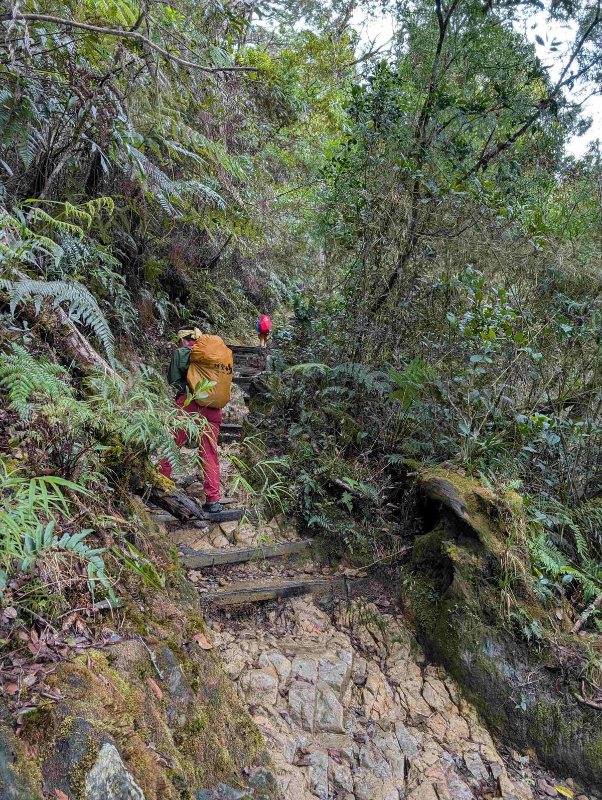 神山沙巴馬來西亞