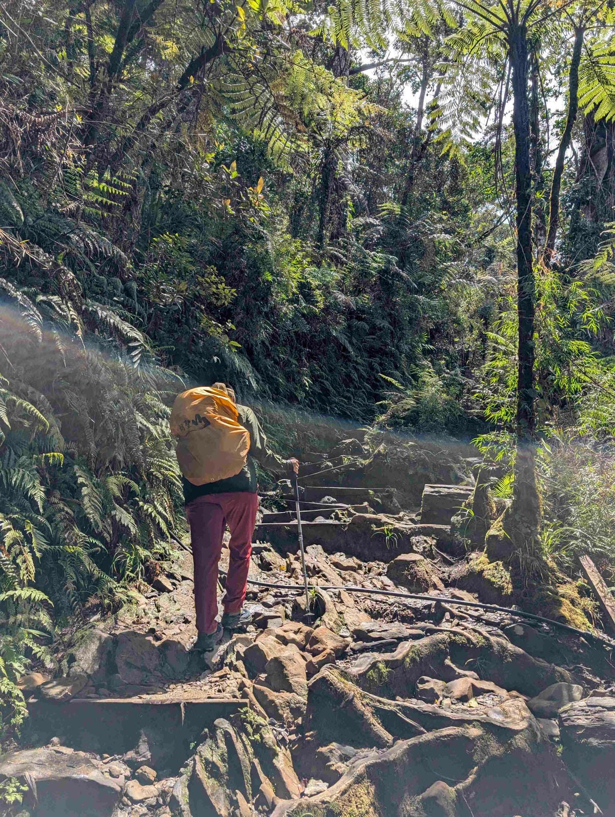 沙巴神山好爬嗎？馬來西亞最高峰神山的神聖場域