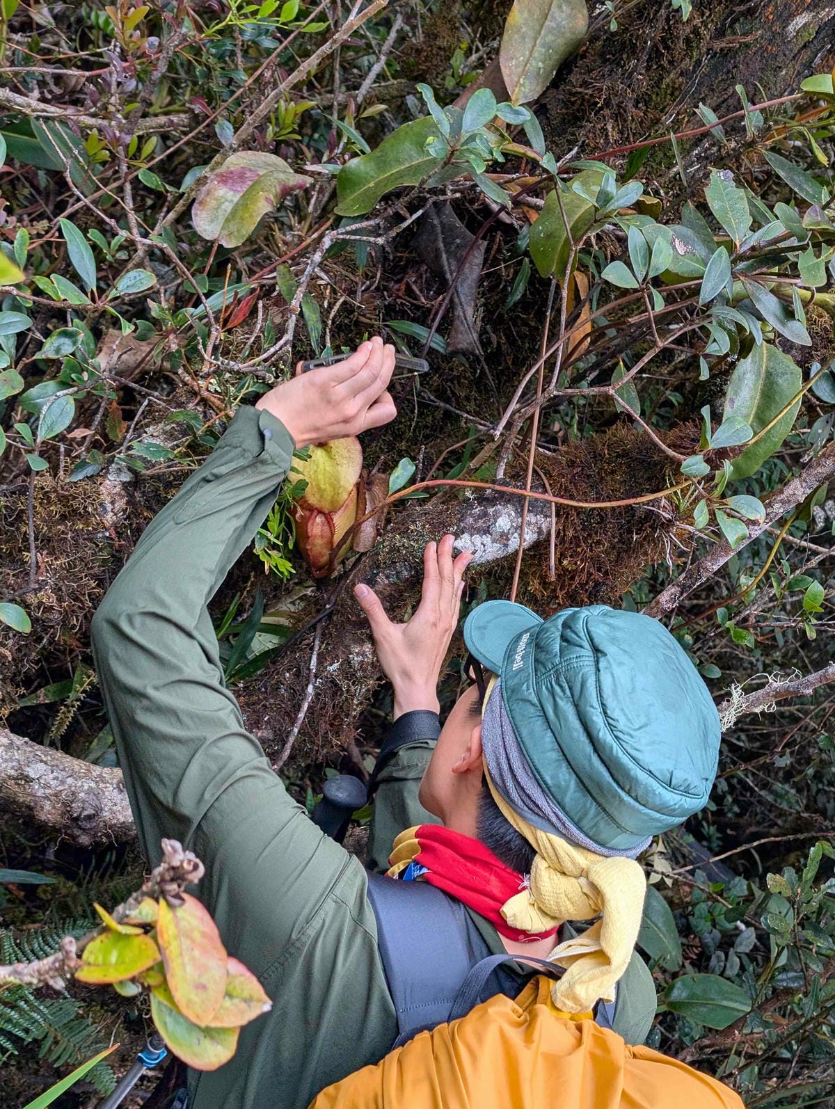 沙巴神山好爬嗎？馬來西亞最高峰神山的神聖場域