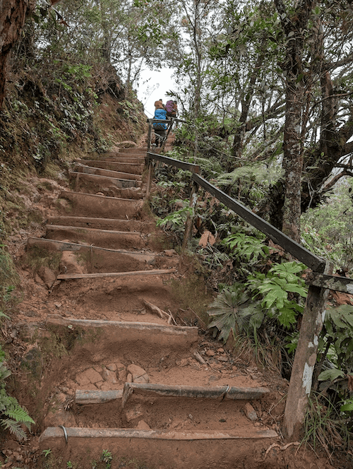 馬來西亞神山自助筆記 - 第12張圖 馬來西亞神山自助筆記