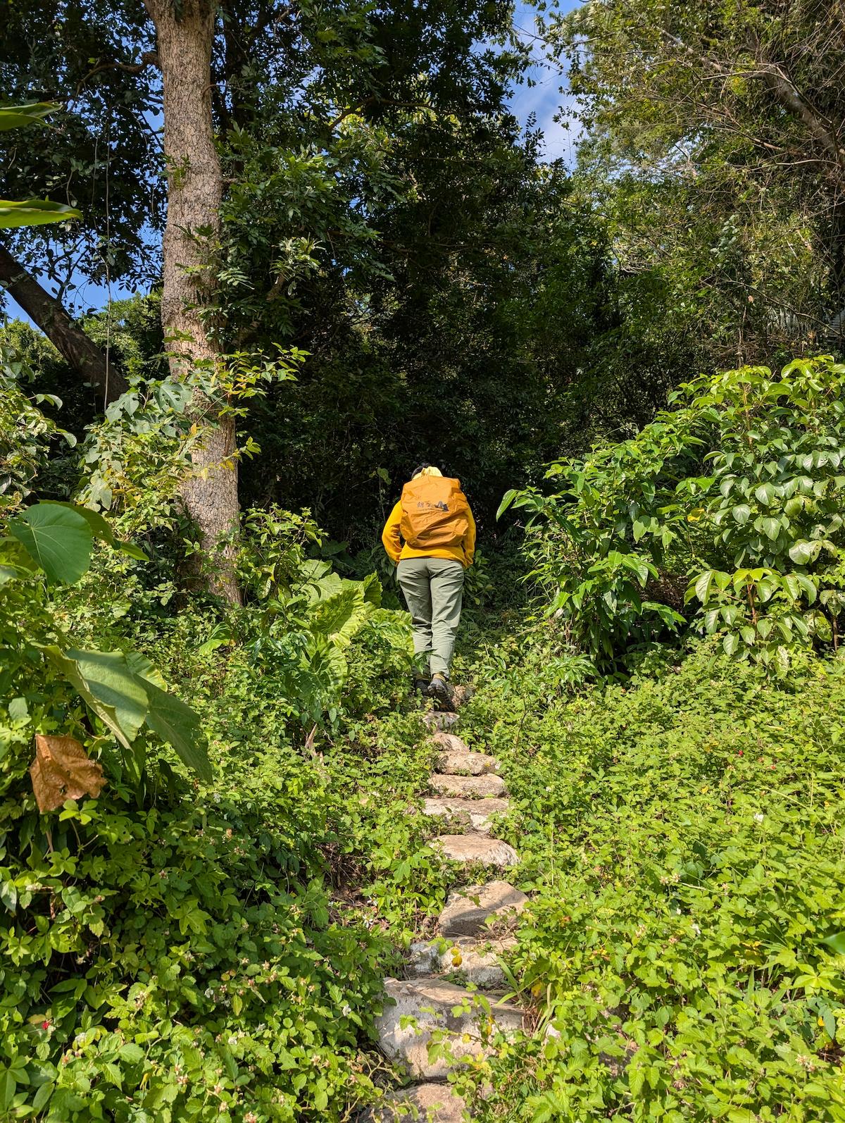 不懼高才有機會瞧狗殷勤古道