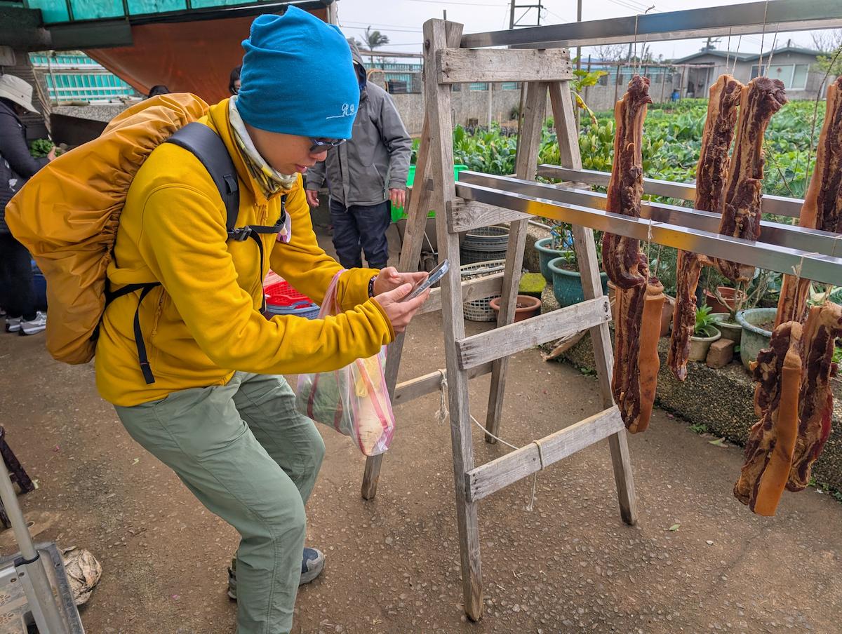 陽明山平菁街櫻花之下山順便買菜