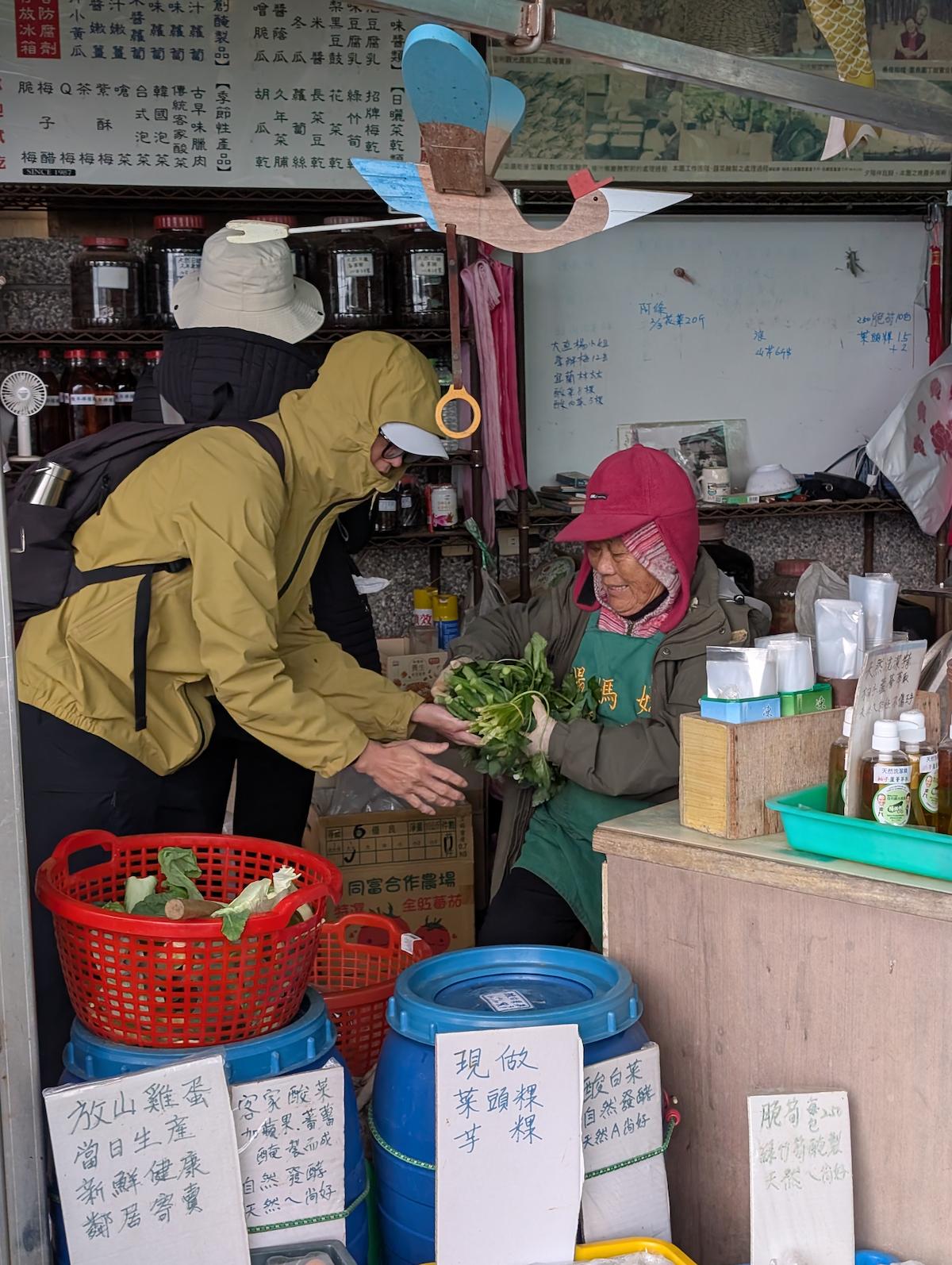 陽明山平菁街櫻花之下山順便買菜